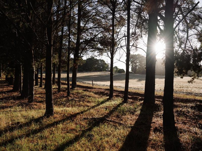 Yallingup Lodge Spa Retreat