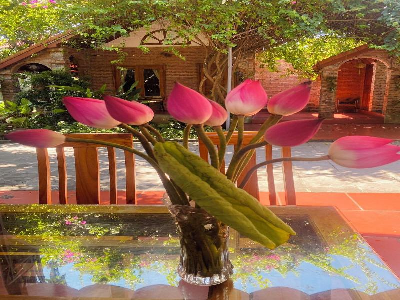 Ninh Binh Mountain View Homestay image