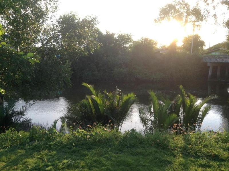 WATERSIDE RESORT image