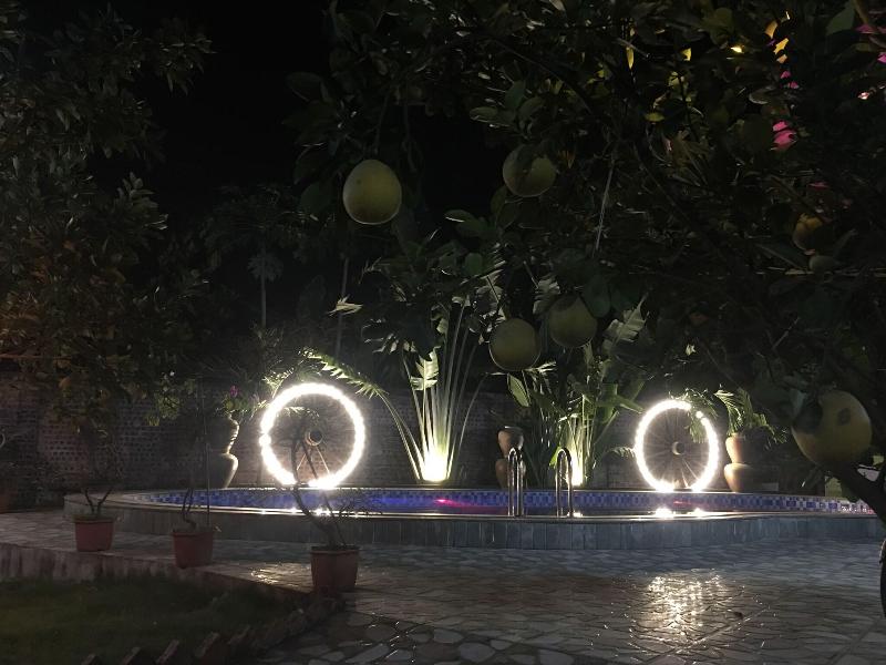 THANH DAT HOMESTAY image