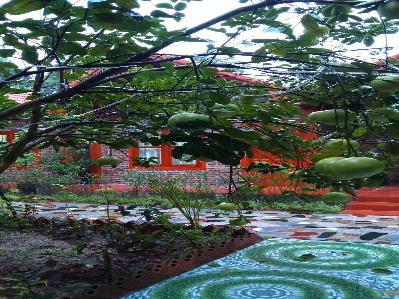 THANH DAT HOMESTAY image