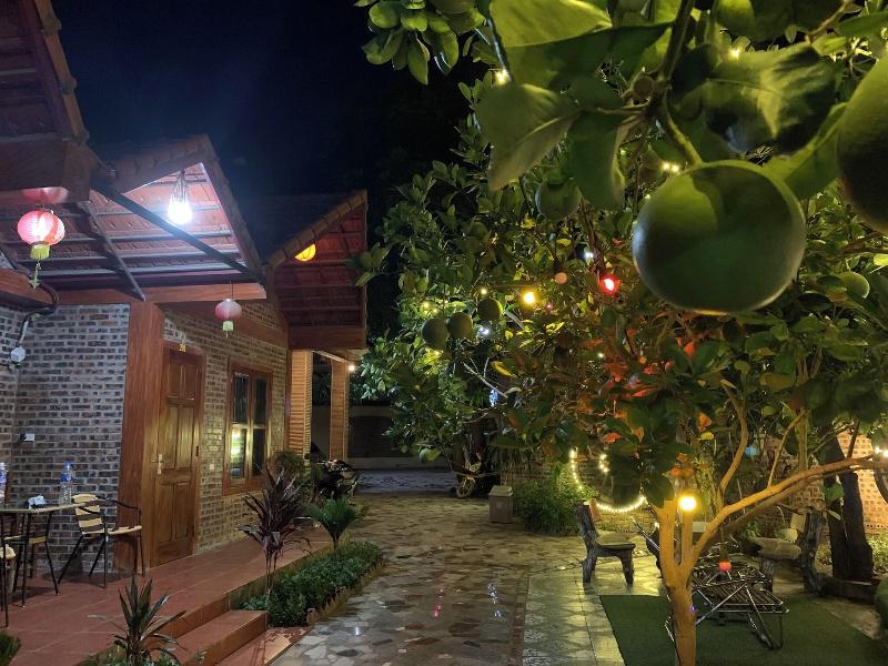THANH DAT HOMESTAY image