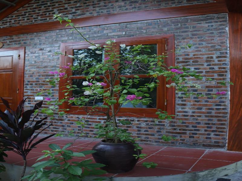 THANH DAT HOMESTAY image
