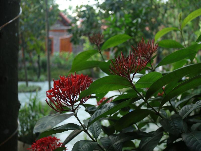 THANH DAT HOMESTAY image