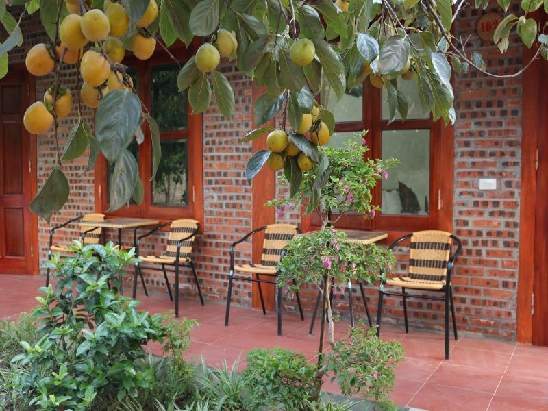 THANH DAT HOMESTAY image
