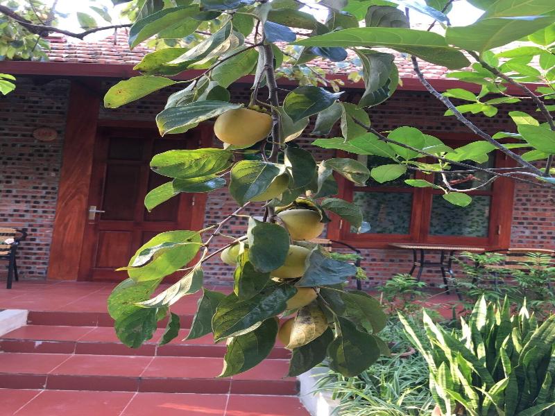 THANH DAT HOMESTAY image