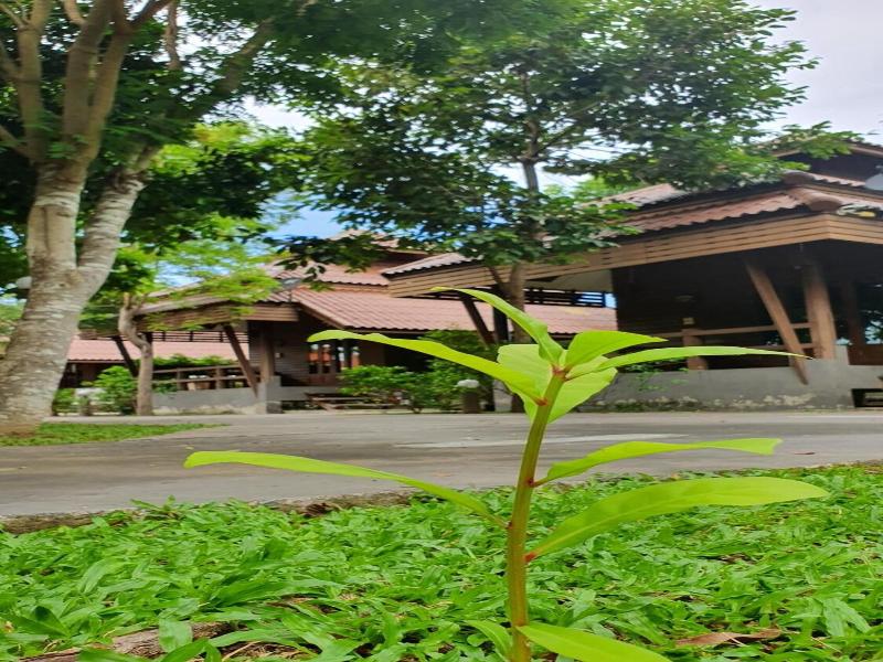 Ruenpurksa Resort
