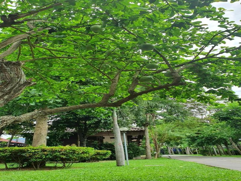 Ruenpurksa Resort