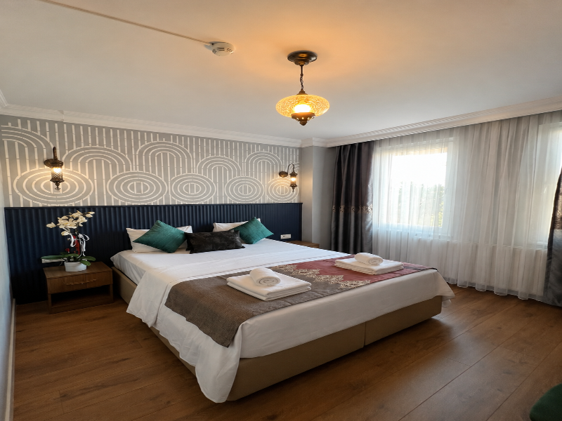 Demare Hotel image