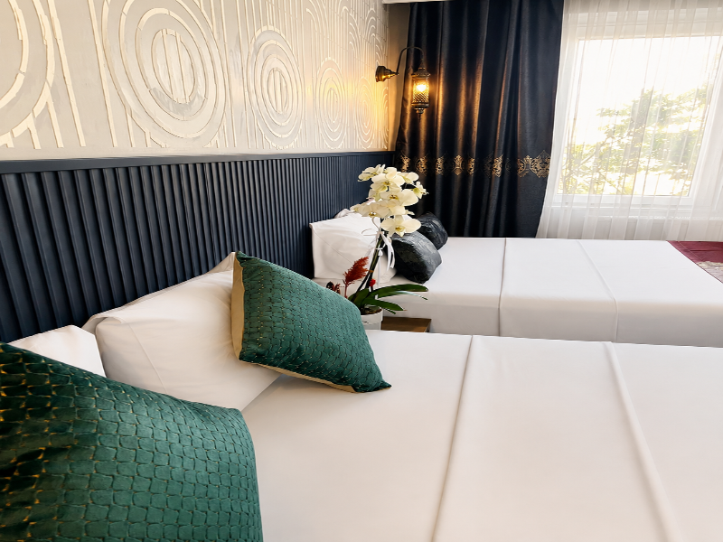 Demare Hotel image
