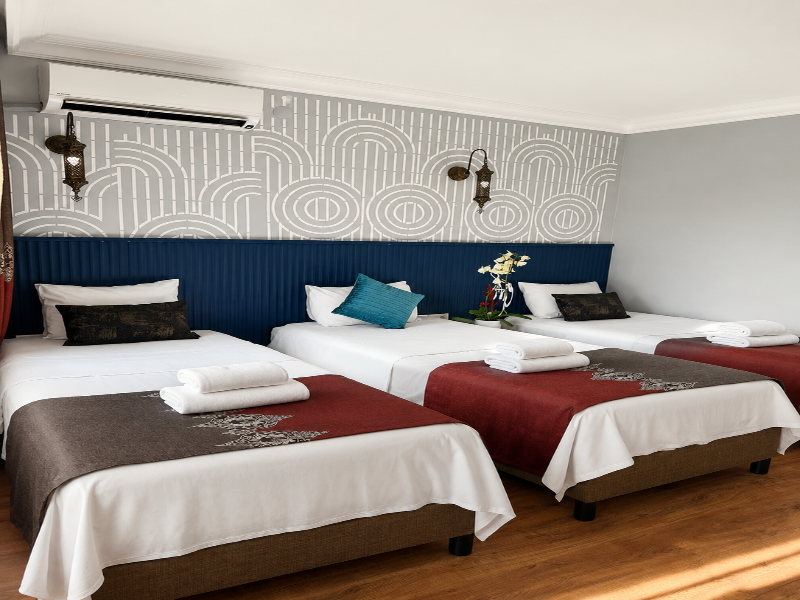 Demare Hotel image
