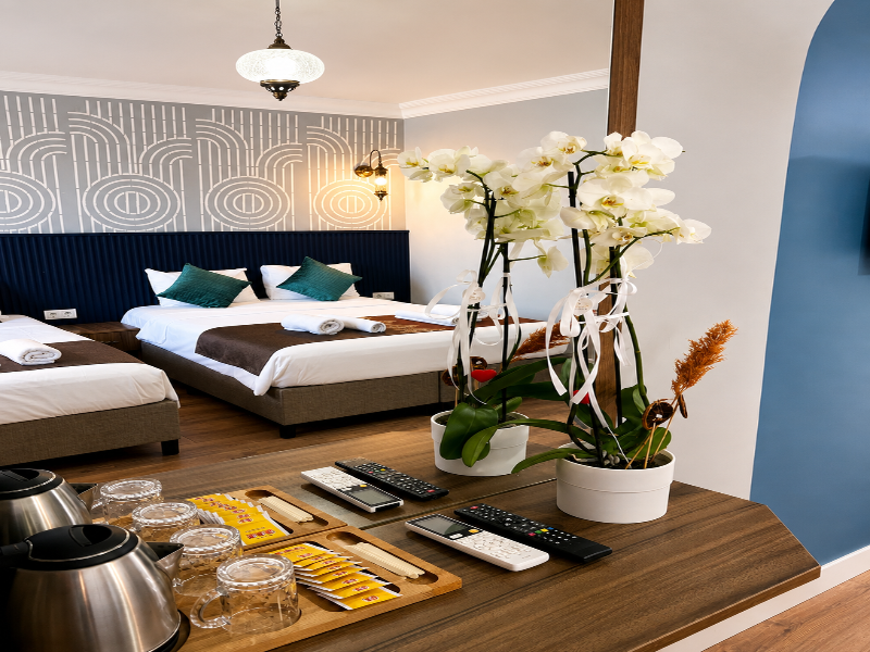 Demare Hotel image