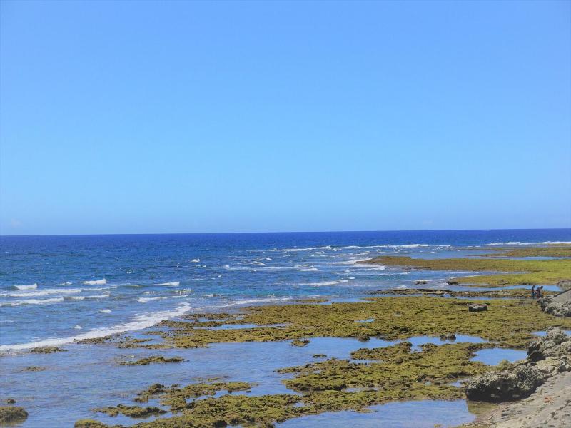 Okinawa Ocean Front Hotel image