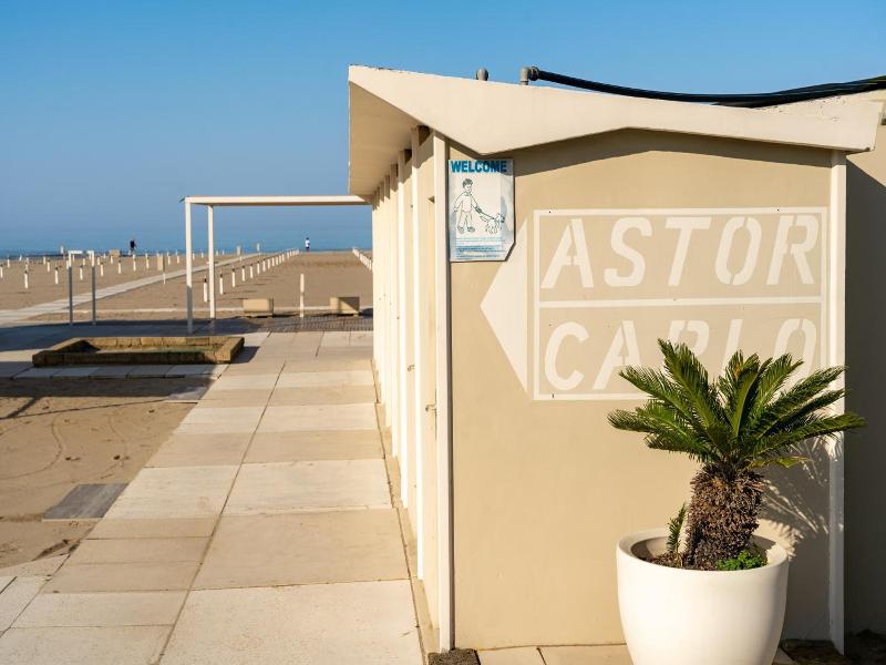 ASTOR image