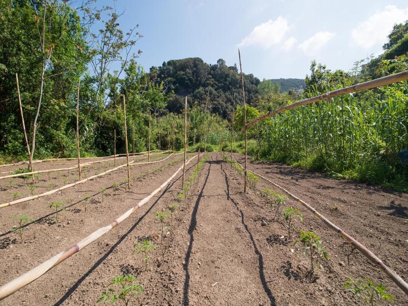Bagnitiello image