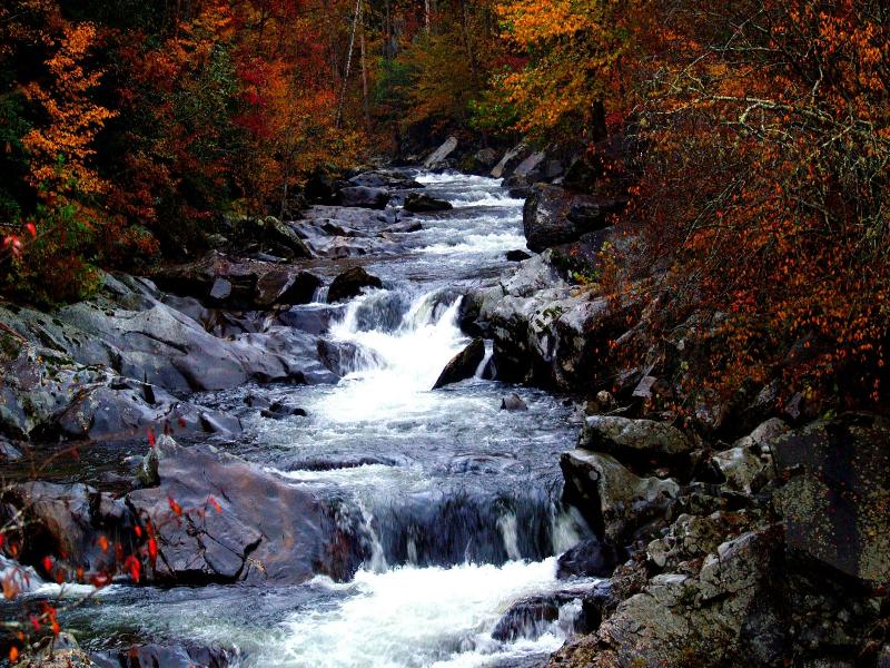 Inn of Loudon image