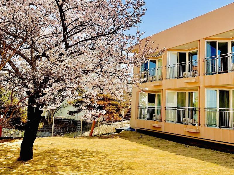 BENIKEA STARHILLS HOTEL