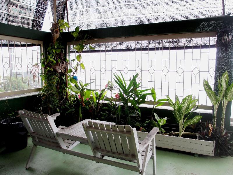 Oceanus Backpackers Hostel