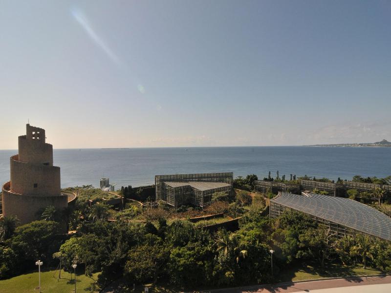 Wisteria Condominium Resort image