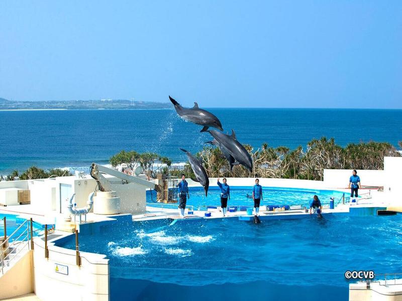 Wisteria Condominium Resort image
