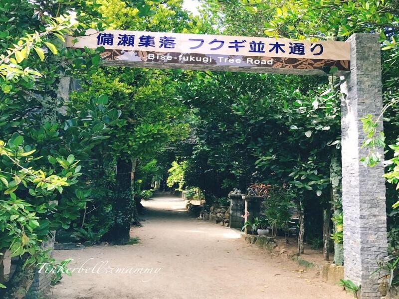 Wisteria Condominium Resort image