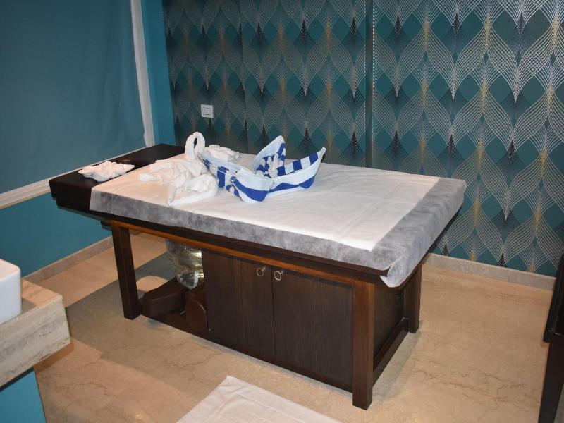 Sayaji Vadodara image