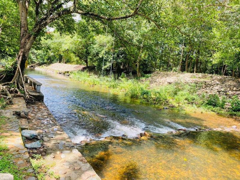 Ma-Kham Forest Resort image
