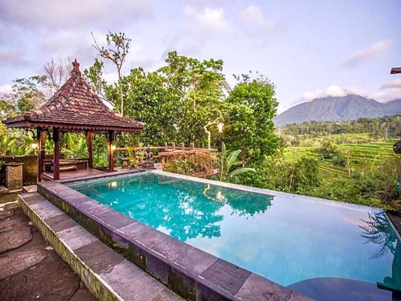 Pondok Nyoman Bedugul image