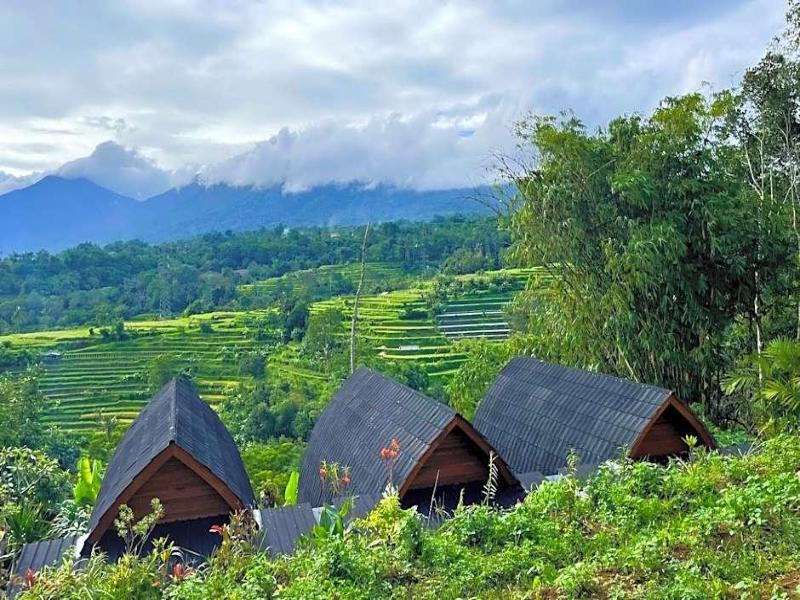 Pondok Nyoman Bedugul image