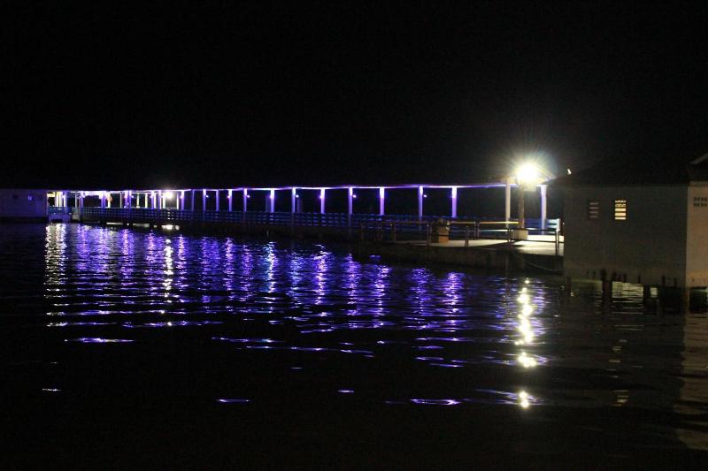 Sea Lion Hotel @ Pulau Ketam — photo 2