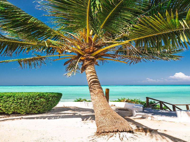 Tanzanite Beach Resort image