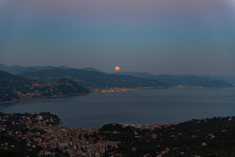Il Leccio Luxury Resort image