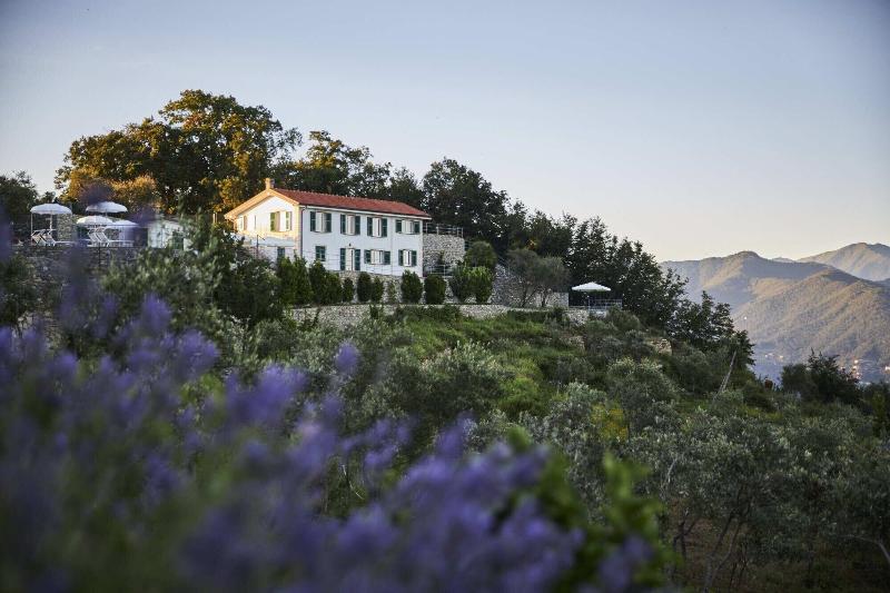 Il Leccio Luxury Resort image