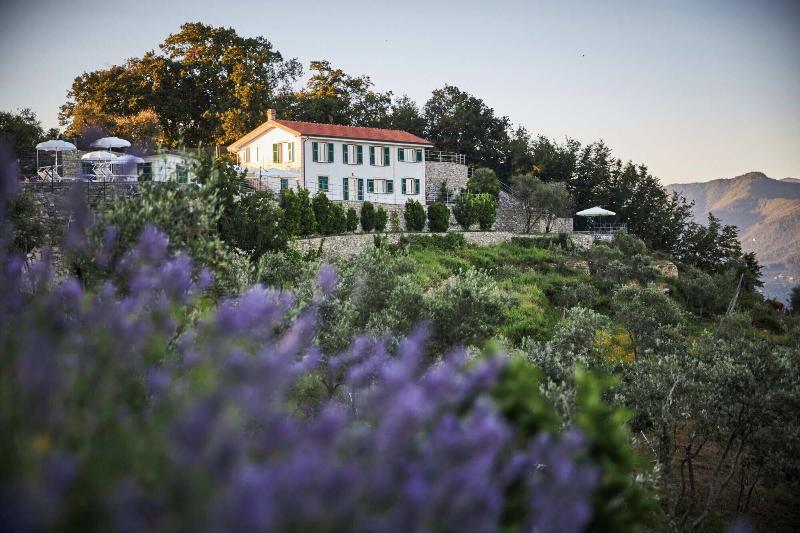 Il Leccio Luxury Resort image