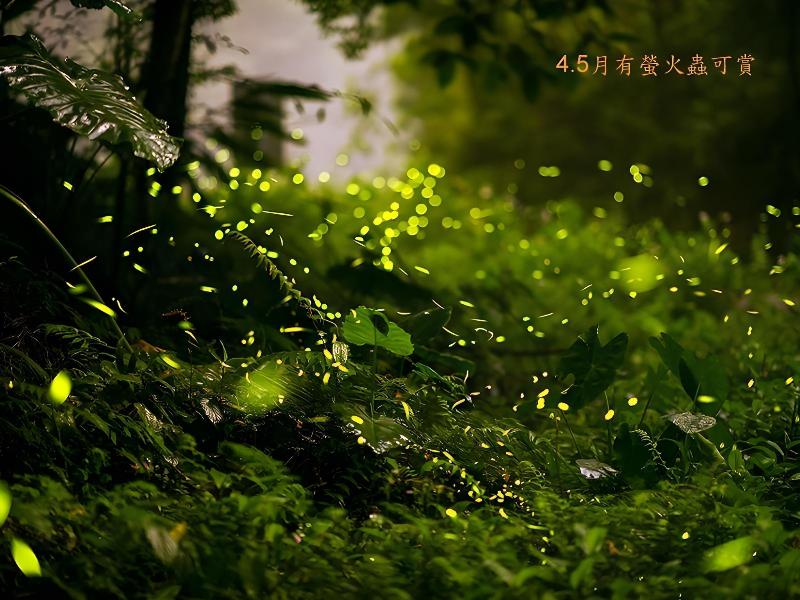 Beauty Art Guest House image