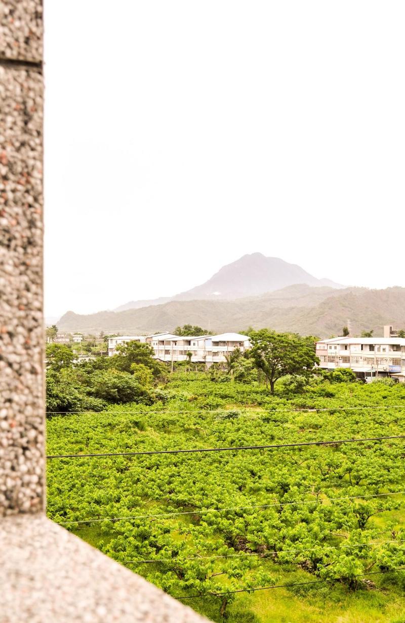 Sun Giraffe Taitung Bnb image