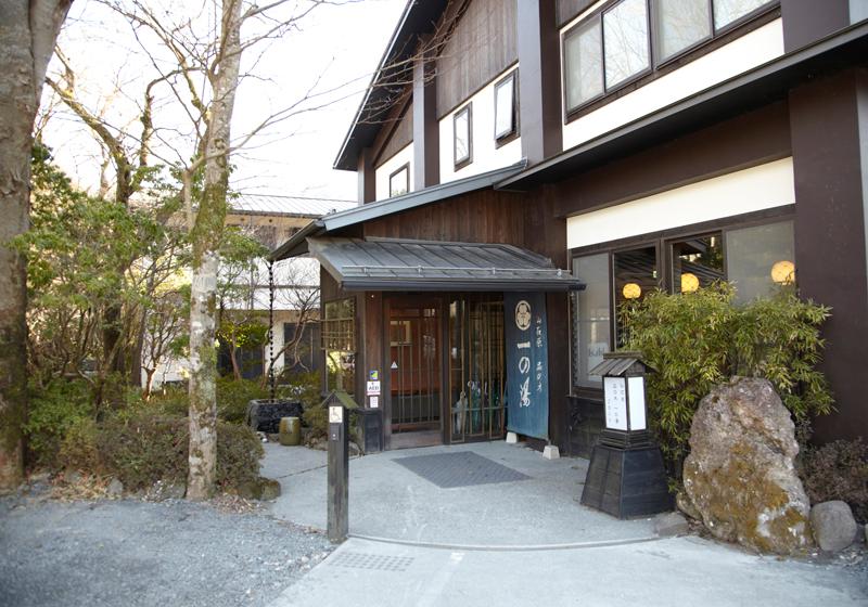 Ashinoko Ichinoyu Hotel — photo 4