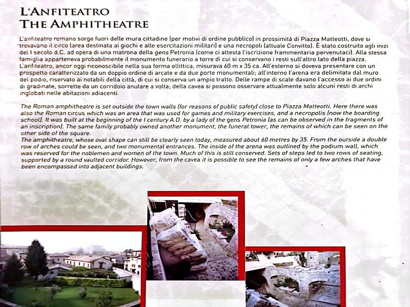 IDEALE image