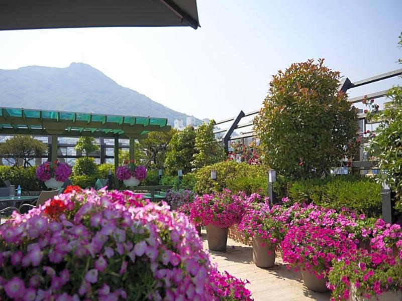 Busan Beach Hotel Busan Songdo image