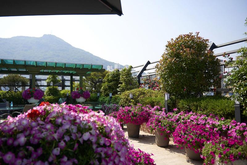Busan Beach Hotel Busan Songdo image