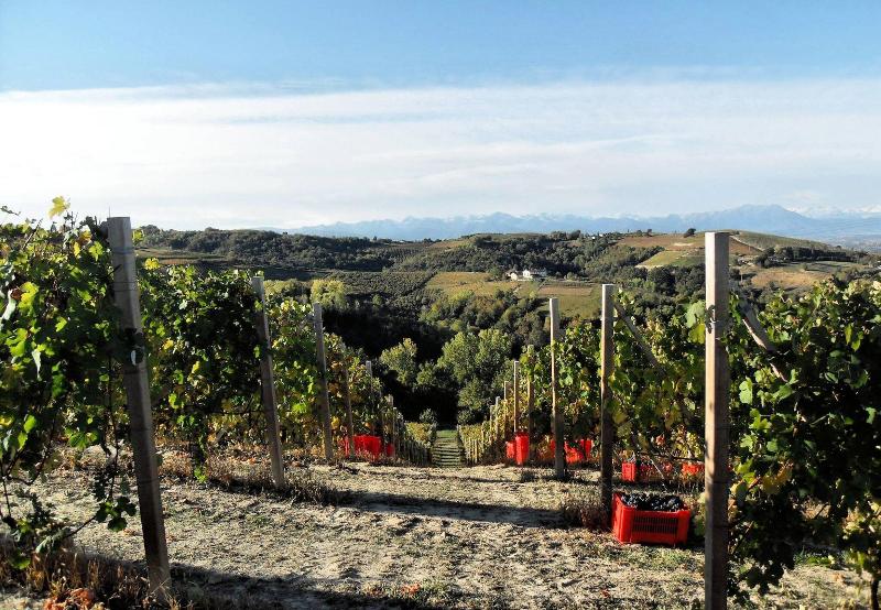 Agriturismo Davide Bevione image