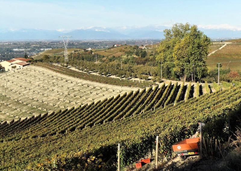 Agriturismo Davide Bevione image