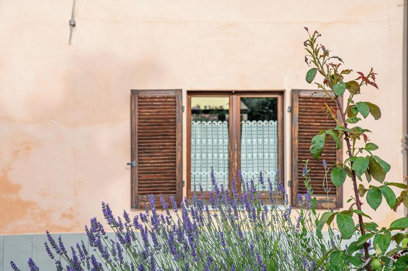 Agriturismo Davide Bevione image