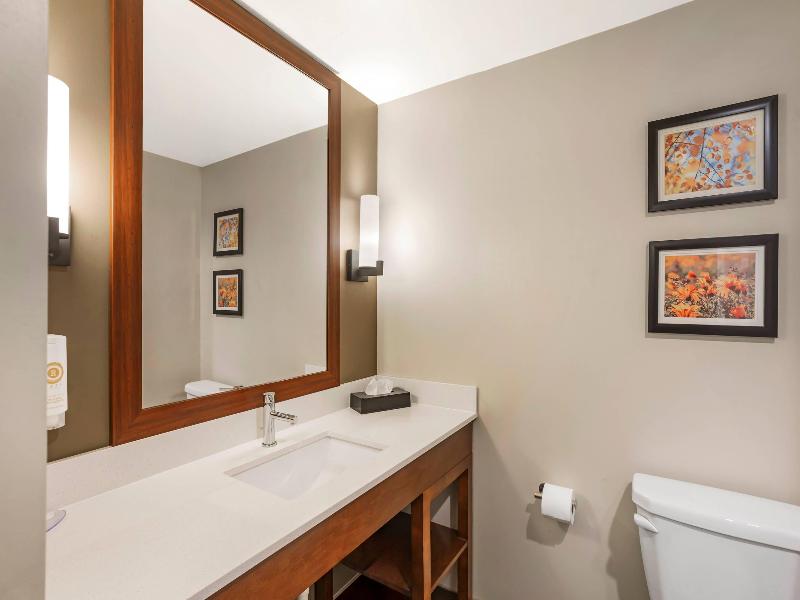 Comfort Inn & Suites Gap Amish Country image