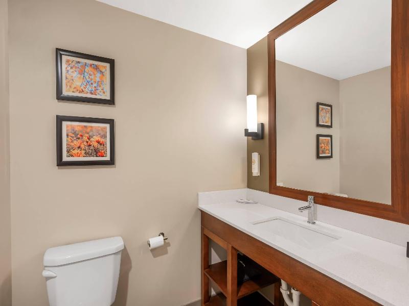 Comfort Inn & Suites Gap Amish Country image