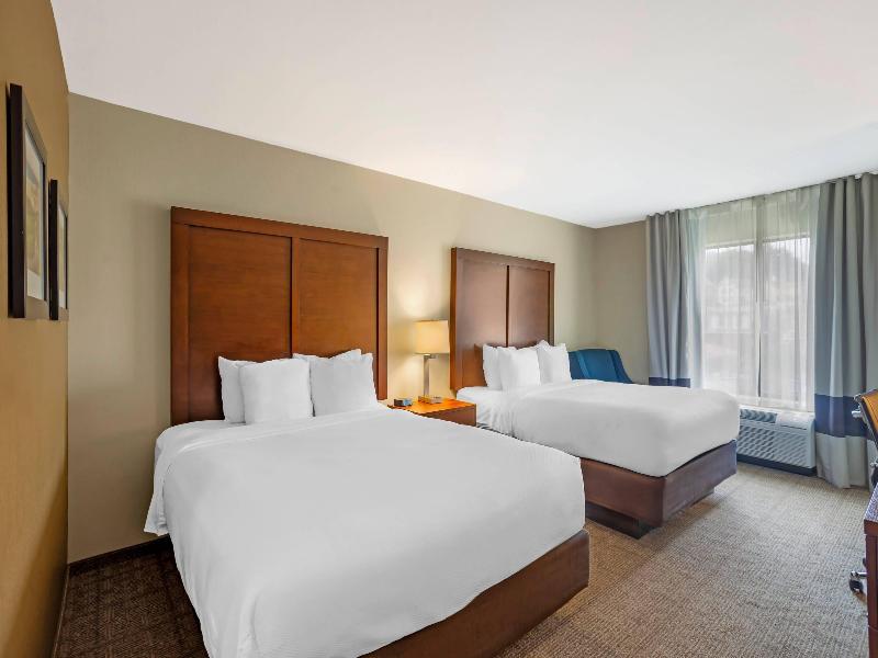 Comfort Inn & Suites Gap Amish Country image