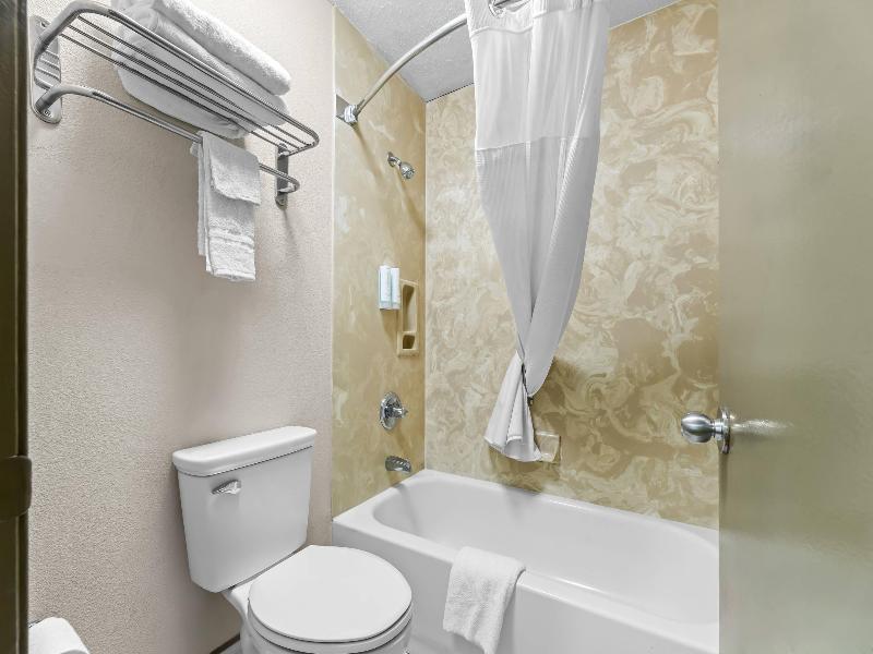 Econo Lodge Greenville image