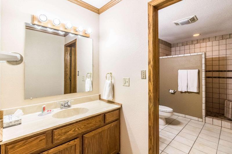 Econo Lodge image