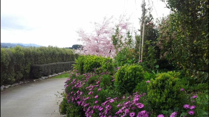 Waitomo Orchard B&B image