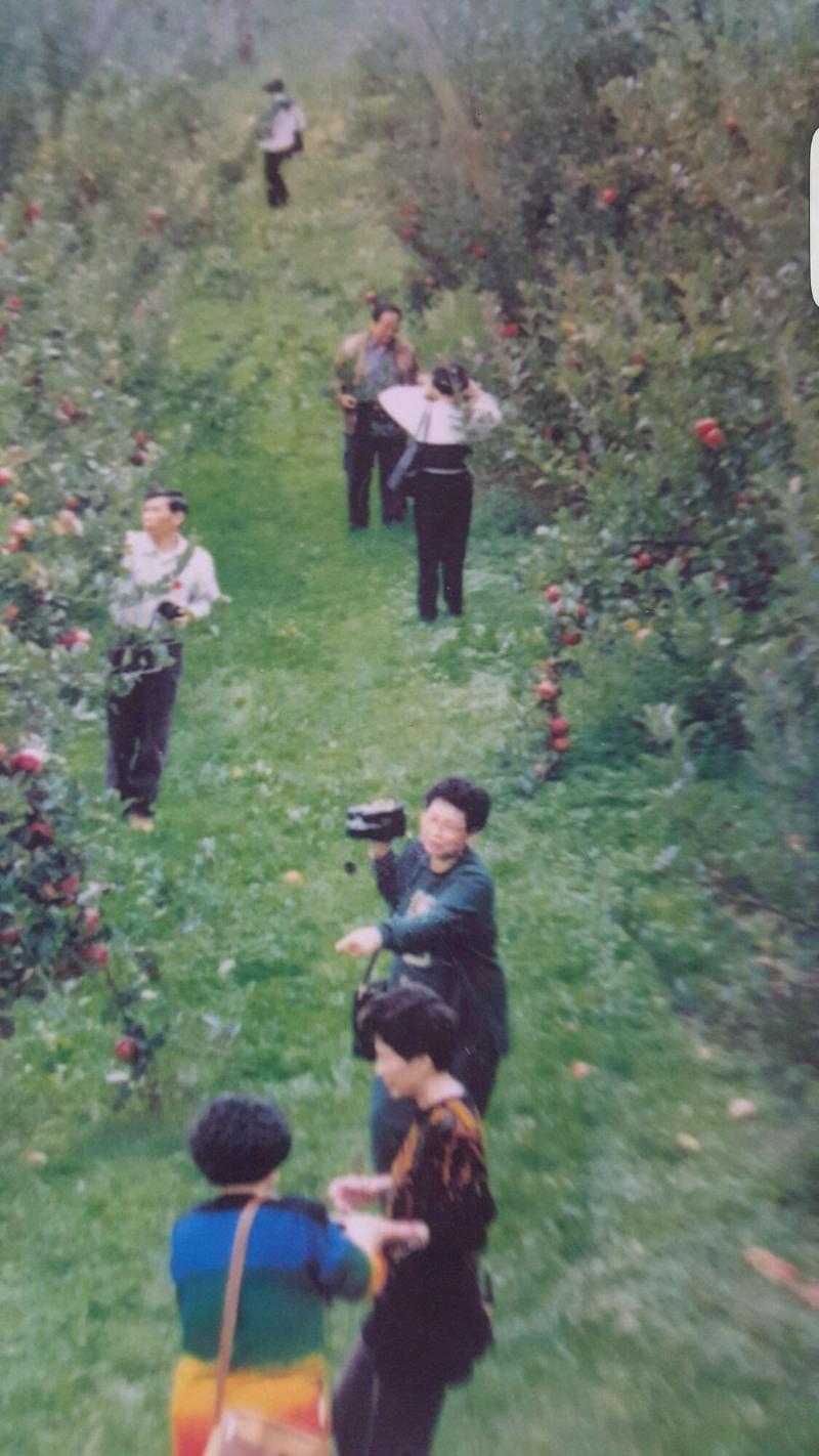 Waitomo Orchard B&B image